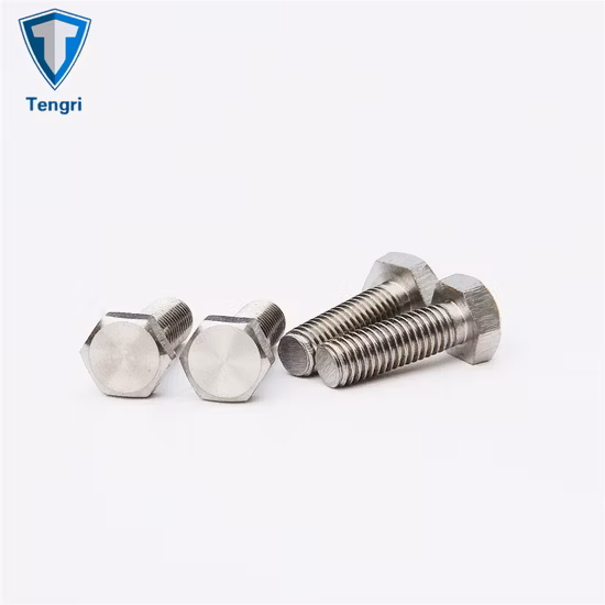 Customized Titanium Alloy Gr2 Ta2 Tc4 Ti0065 Drilled Hex Head Bolt Flange Bolt Hexagon Socket Head Cap Bolt